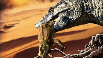 Un depredador oculto: Argentina suma una nueva especie de cocodrilo carnívoro al registro fósil mundial
