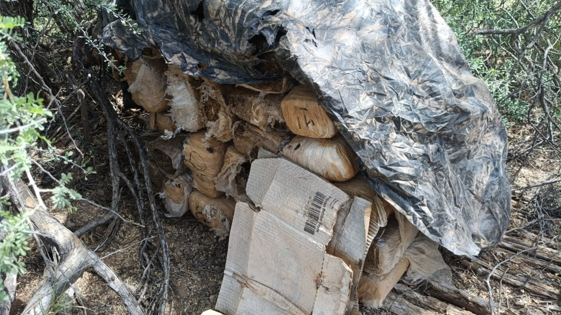 Los paquetes estaban en la maleza(Guardia Nacional)
