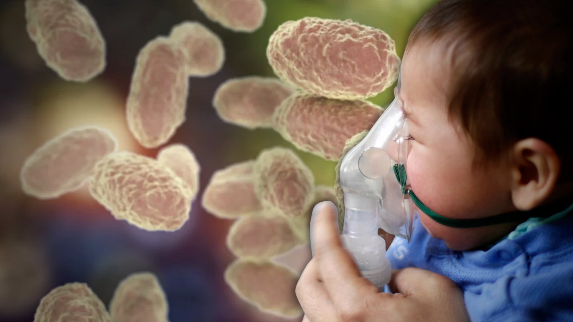 (Composición Infobae)