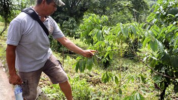 La sequía afecta el 80