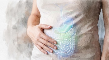 Mano de una persona sobre el abdomen. Se ilustra el estómago, intestino delgado y grueso en tonos azul y verde con estilo acuarela.