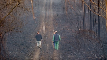 Los incendios podrían causar más