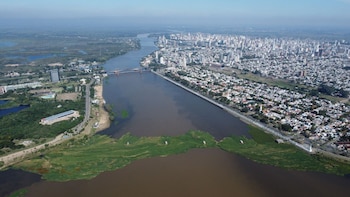 Vista del muro de vegetación