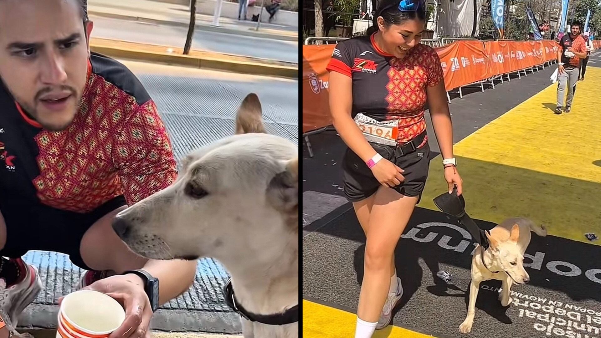 Fue un usuario de la plataforma de videos quien sugirió nombrarla “Maratonia”. Crédito: (TikTok/@acostafrancia)