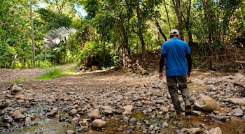 El Instituto Meteorológico Nacional estimó que el fenómeno de El Niño podría mantener una intensidad muy fuerte hasta junio de 2027. (Foto: El Observador)