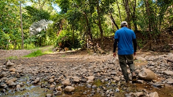La producción de agua para 700,000 costarricenses podría caer hasta 45% por los efectos de El Niño