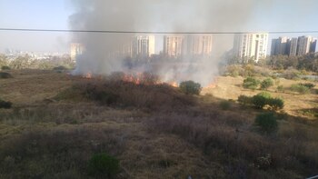 La alcaldía Álvaro Obregón reportó