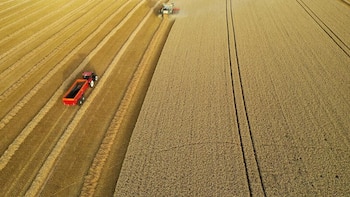 2025 cerró con un “salto