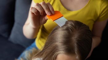 Los piojos y su viaje