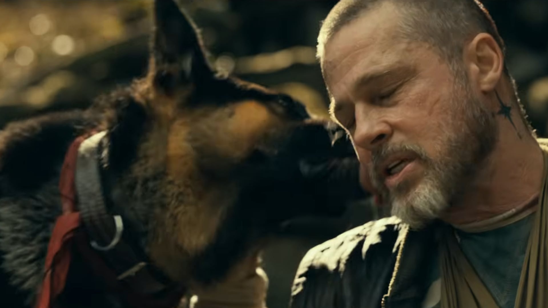 Brad Pitt y Odin, su perro en la película