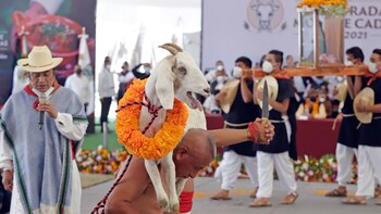 Festival del Mole de Caderas: