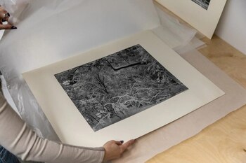 La colección de arte en