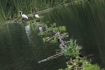 FOTO: ROGELIO MORALES /CUARTOSCURO