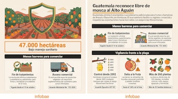 Infografía con ilustraciones de campos agrícolas, un escudo protector, datos sobre hectáreas y recuadros explicativos con frutas y hortalizas.