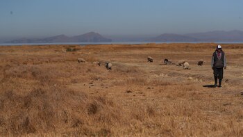 La sequía daña miles de