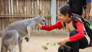 Parque de las Leyendas ofrece