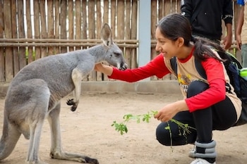 El programa se desarrolla a