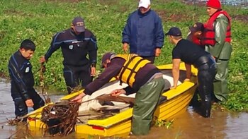 El hallazgo del segundo cuerpo