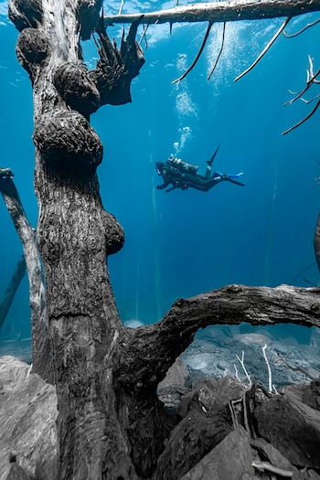 Romina se sumerge todos los años en la profundidad del lago Traful. El agua está a unos 16 grados en verano (@romigiorno)