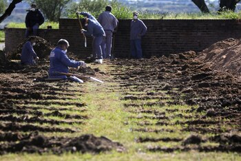 En Córdoba hay hasta el