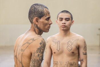 El director del CECOT muestra