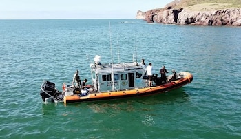 Buzos de la Marina y