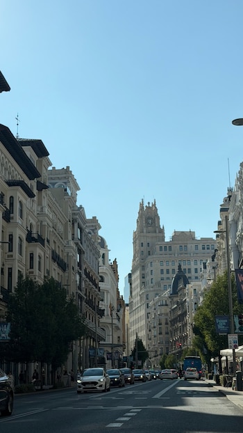 Vista frontal de una calle urbana con edificios históricos, vehículos transitando, árboles y cielo azul en un día soleado