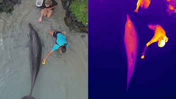 Así funciona la nueva técnica