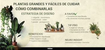 INFOGRAFIAS PLANTAS LIVING DECO