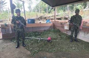 Las tropas incautaron 2.320 kilogramos