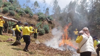Más de 400 brigadistas se preparan ante los incendios forestales en Cusco: Serfor capacitará a personal de 26 distritos de la región