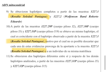 La pericia que demostra la