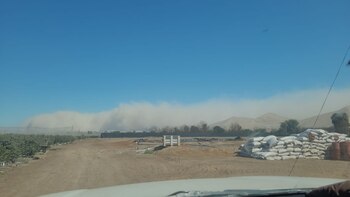 Habitualmente presentes entre agosto y