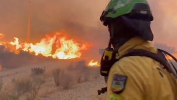 La UD Almería expresa su apoyo a los afectados por el incendio forestal de Los Gallardos