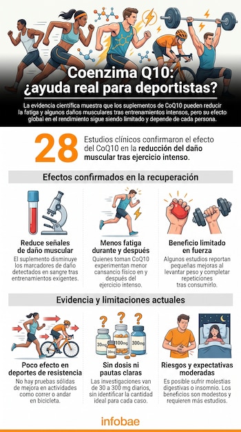 Infografía con ilustraciones de deportistas, microscopio, tubos de ensayo, frascos de suplemento y texto explicativo sobre la coenzima Q10.