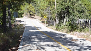 Ya se registran avances en