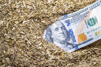 Las exportaciones de yerba mate