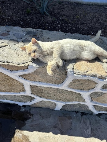 Don Juan se adaptó rápidamente