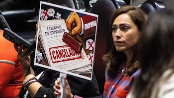 Artículo 19 rechaza aprobación de “Ley Antimemes” que castiga uso de imagen gubernamental, pide diferenciar sátira de uso delictivo
