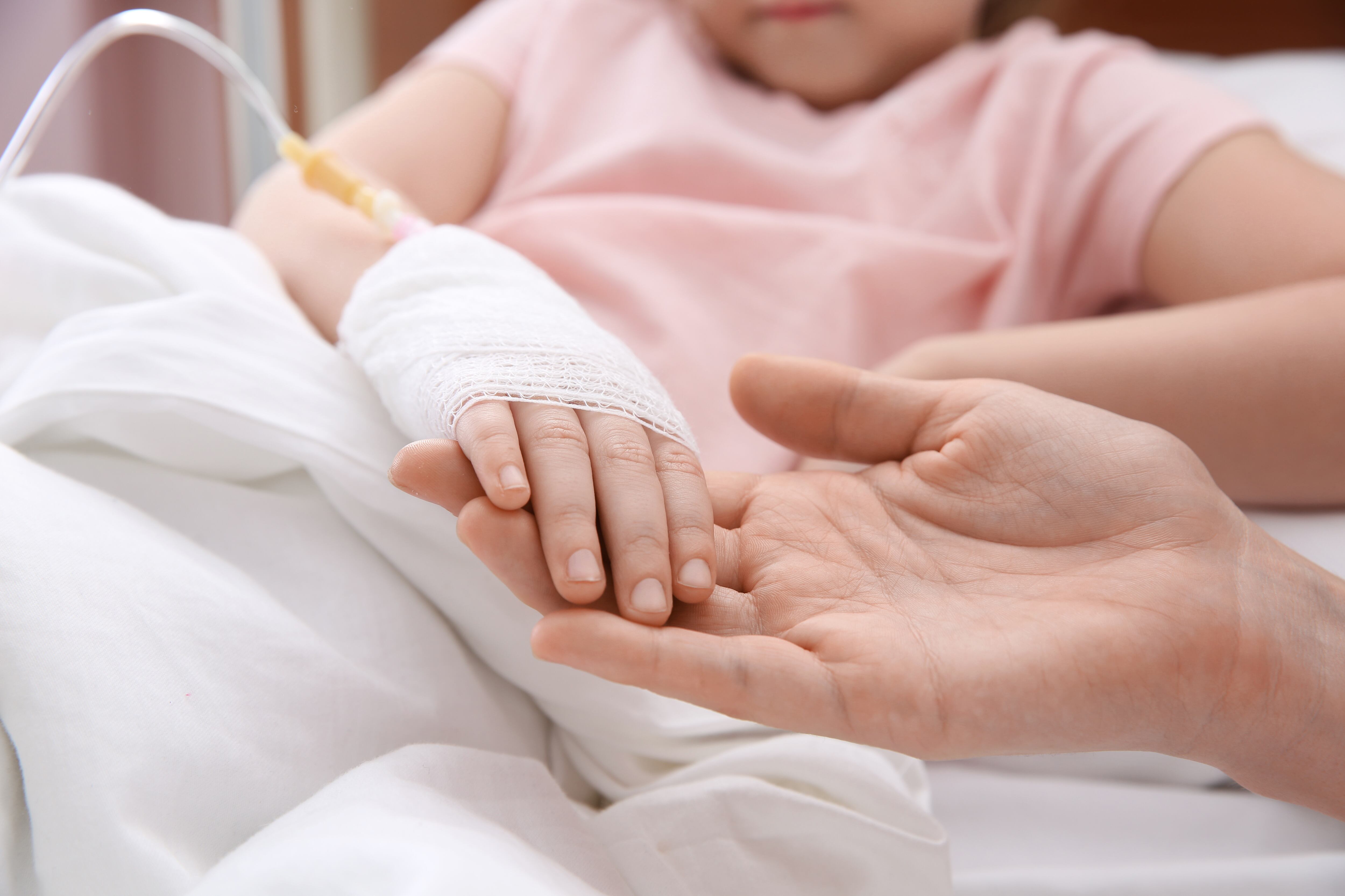 El hallazgo abre nuevas rutas para terapias oncológicas basadas en productos naturales y compuestos fúngicos (AdobeStock)