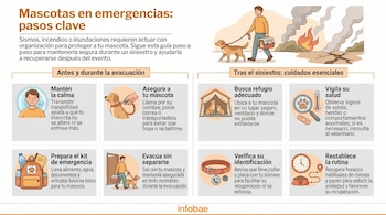 Infografía: hombre evacua con perro y gato en transportadora, con fondo de incendio y grietas. Muestra consejos gráficos para la seguridad de mascotas en siniestros.