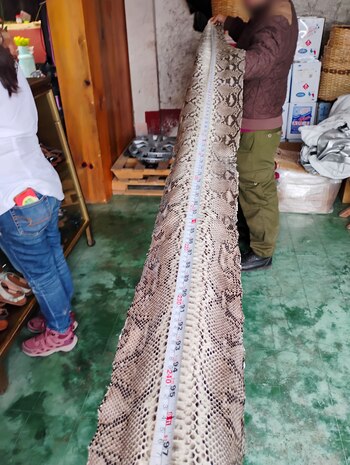 Profepa clausura comercio en Oaxaca