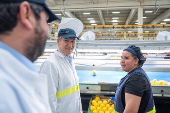 Imagen 4EMNCIFHVBGI7MCEL6VKAQ6HGM