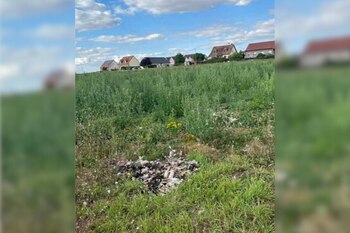 La imagen de los cadáveres.