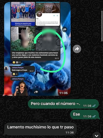 Captura de pantalla de un chat de WhatsApp con imágenes difuminadas, publicaciones de redes sociales, memes y mensajes de texto