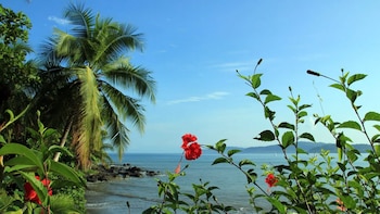 Las tormentas matutinas refrescan la