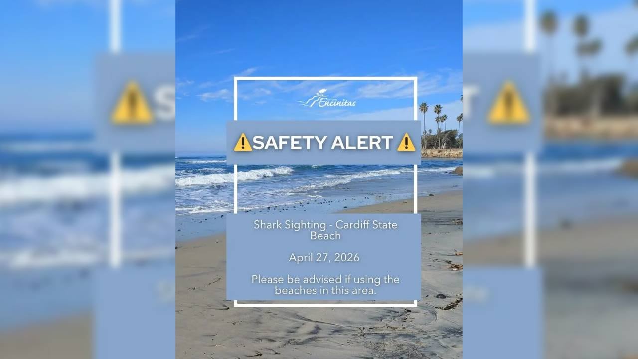 Una alerta de seguridad informó sobre un avistamiento de tiburón en Cardiff State Beach el 27 de abril e instó a la precaución al usar las playas cercanas (X)