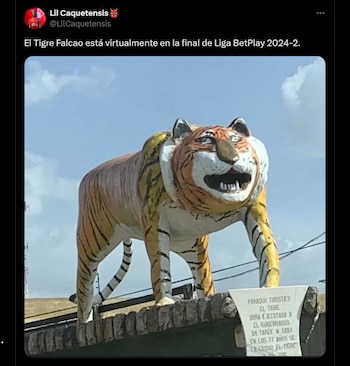 Meme por la eliminación de