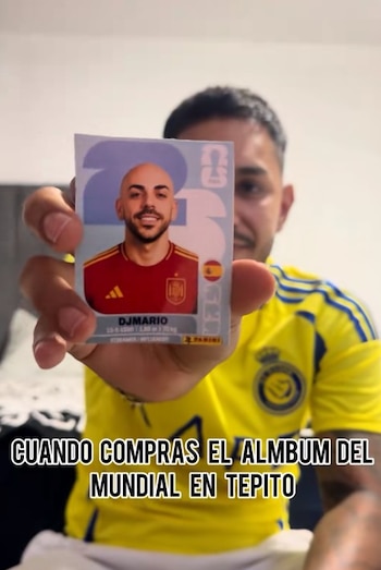 El contenido del álbum apócrifo sorprendió por sus referencias a internet. (TikTok / @bolitas._7)