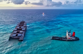 EFE/EPA/REUBEN PILLAY/Archivo